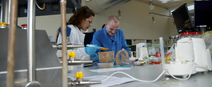 Supervisor and Student undertaking research 