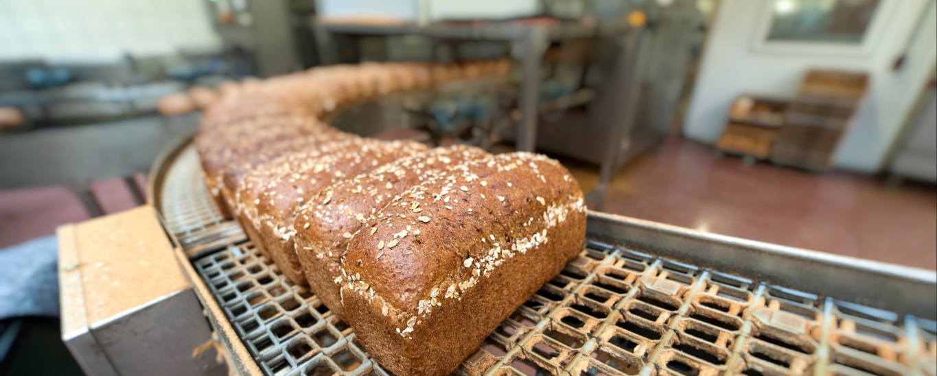 Bread