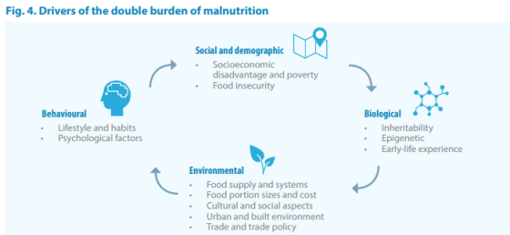 The double burden of malnutrition