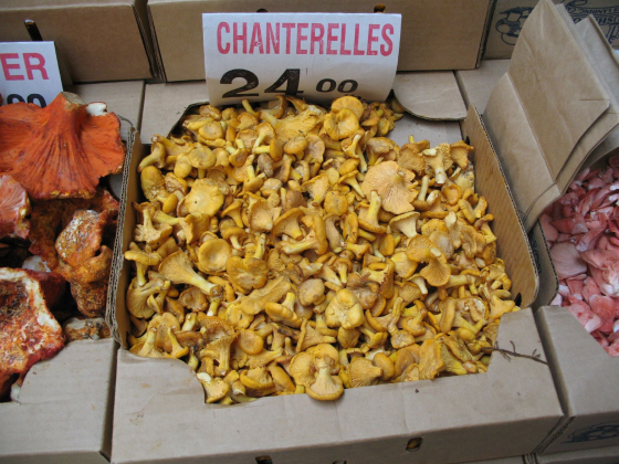 Mushrooms for sale in a market