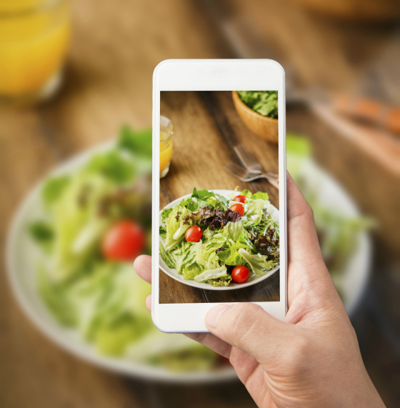 New mobile methods for dietary assessment