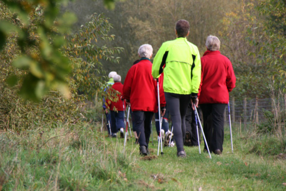 Group walking through countryside