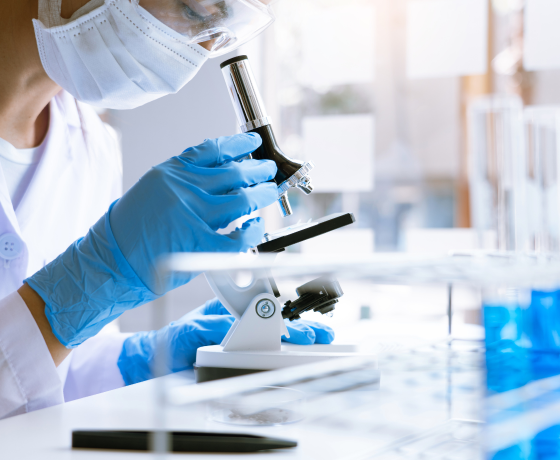 Lab work